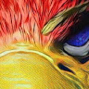 Meet your Posher, Zeb